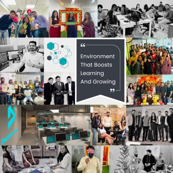 Decipher Zone software development team collaborating at the Udaipur engineering workplace