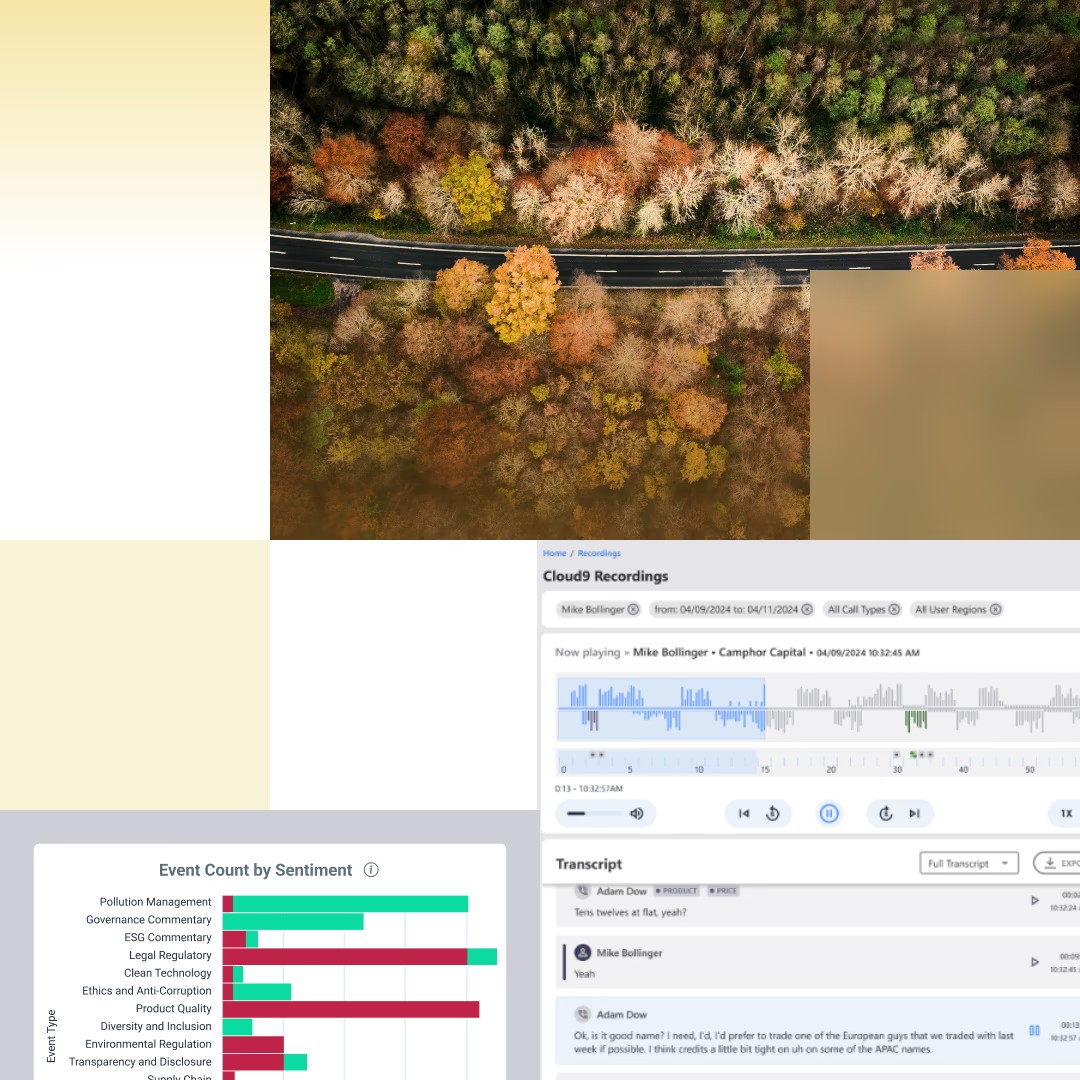 Voice Analytics