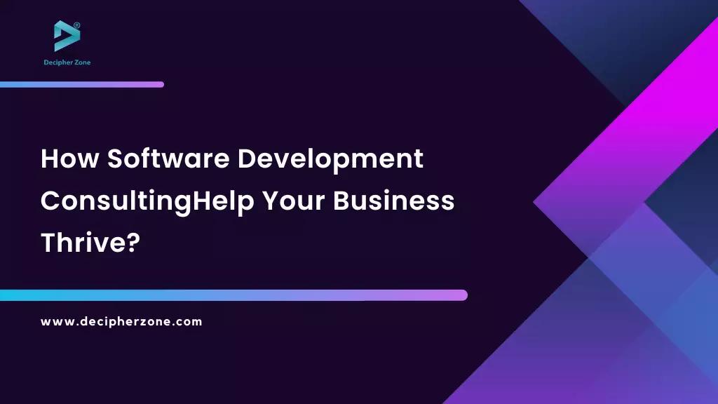 How Software Development Consulting Can Help Your Business Thrive