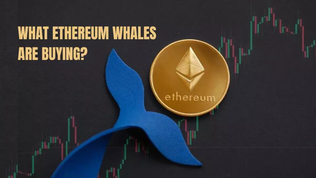What Ethereum whales are buying?
